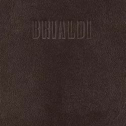 Brialdi Modena (коричневый) отзывы на Srop.ru